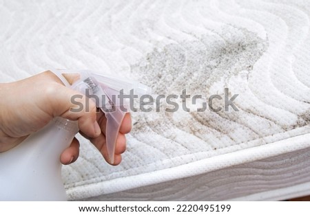 Person hand spray vinegar solution on molding mattress in home room to remove stains. Washing moldy mattress, remove mold concept.