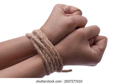 Person hands tied with rope isolated on white background, captive victim restrained concept