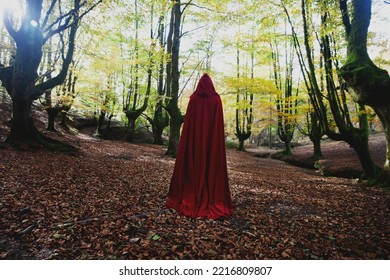 A Person With His Back Turned And Wearing A Long Red Cape Stands