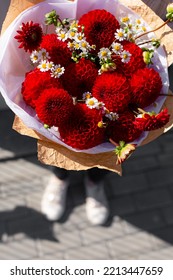 A Person Holding Beautiful Bouquet Of Red Dahlia Flowers.