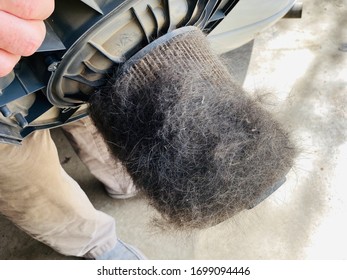 A Person Holding A Shop Vac Filter Full Of Dog Hair