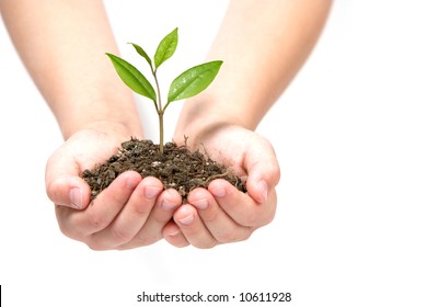 A Person Holding A Small Plant In The Studio