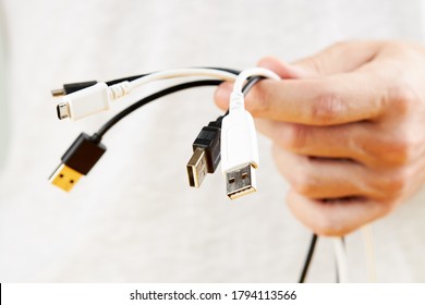 Person Holding Stack Of A Different Electric Wires. Hide Computer Cables.