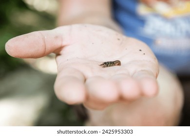 Person holding tiny crawdad in hand at creek