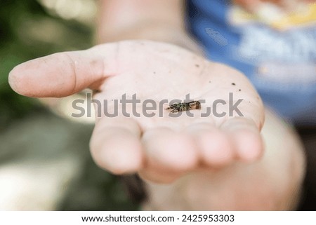 Person holding tiny crawdad in hand at creek