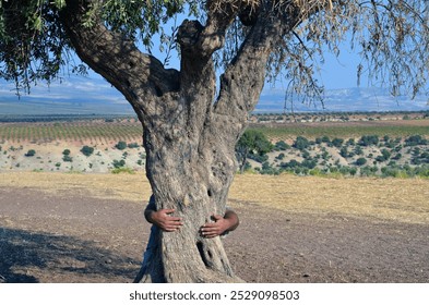 Person hugging an olive tree - Powered by Shutterstock