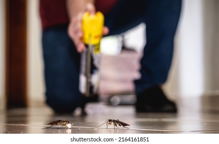 person killing cockroach with poison spray, cockroach on dirty floor indoors, need for detection