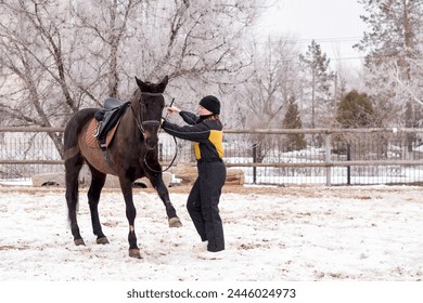 Person leading a lively horse in snow. Dressage. Training a horse in the paddock - Powered by Shutterstock