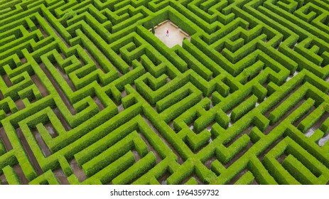 person in a maze surrounded by green nature