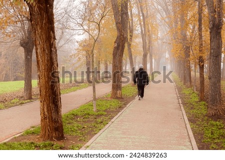 Person on his back walking alone in a foggy park. Very cold autumn day that invites you to go out for a walk very warmly.
