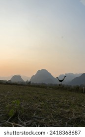 Person performing a handstand in a field at sunset with mountains in the background.