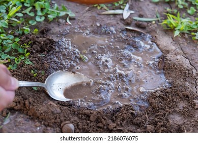 Person Planting Vegetation In Moist Soil