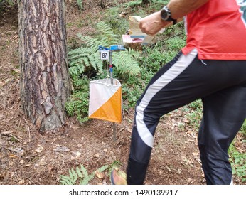 Person Racing To An Orienteering Check Point, Put The Finger Chip Into Digital Check Box.  Outdoor Orienteering Check Point Activity.