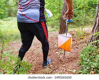 Person Racing To An Orienteering Check Point, Put The Finger Chip Into Digital Check Box.  Outdoor Orienteering Check Point Activity.