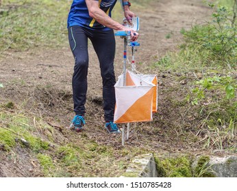 Person Racing To An Orienteering Check Point, Put The Finger Chip Into Digital Check Box.  Outdoor Orienteering Check Point Activity.