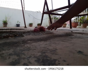 A Person Reaching Down To Clear Debris And Dirt On The Pavement In The Garden - Image Of Doing Odd Jobs, Maintenance Concept, Cleaning Time.