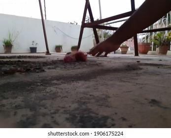 A Person Reaching Down To Clear Debris And Dirt On The Pavement In The Garden - Image Of Doing Odd Jobs, Maintenance Concept, Cleaning Time.