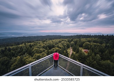 A person in a red jacket stands on a viewing platform overlooking the vast Bohemian forest landscape under a cloudy sky at sunset. - Powered by Shutterstock