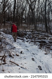 Person With A Red Puffy Vest And Walking Stick Hiking Along A Park Trail Through A Deciduous Forest During Winter In The Midwest With Snow Cover, Foot Prints, And Bare Trees And Bushes.