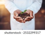 Person, scientist or hands with plant in soil for sprout, seedling or sapling in nature agriculture. Closeup, biologist or leaves with natural growth for conservation or eco friendly sustainability