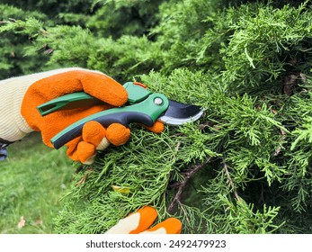 A person is seen using a pair of scissors to cut a branch from a tree in a natural landscape with a plant community around