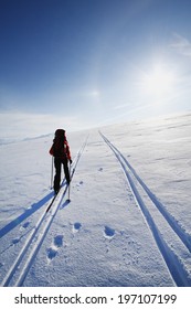 Person Skiing, Lapland, Sweden