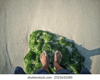 A person is standing barefoot on a moss-covered rock on a sandy beach. The natural contrast between the green moss and the sand is the focus of the composition. - Powered by Shutterstock