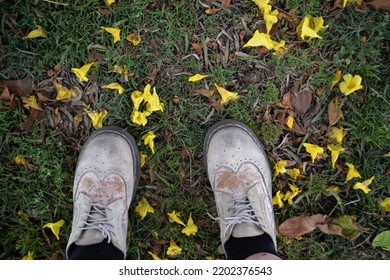 Person Standing On Grassy Field Covered With Yellow Fallen Flowers