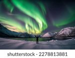 Person standing in a snowy landscape with the northern lights in the sky