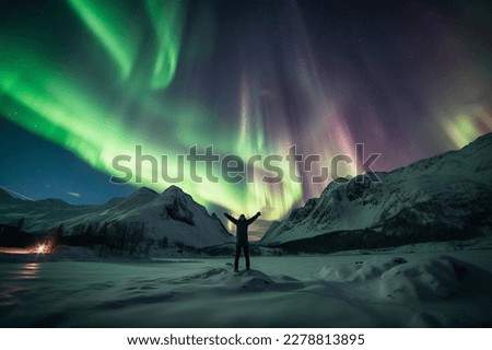 Person standing in a snowy landscape with the northern lights in the sky
