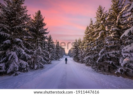 A person standing in winterlandscape in Sweden