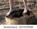 A person stands barefoot on a large, weathered tree stump located in a serene outdoor environment