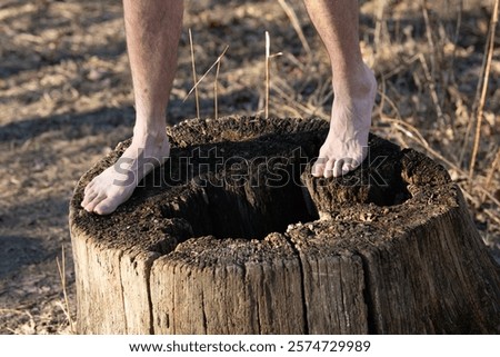 A person stands barefoot on a large, weathered tree stump located in a serene outdoor environment