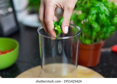 The Person Tossing Fresh Basil Leaves Into A Blender. Preparation Of An Italian Dish. Basil Pesto.