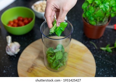 The Person Tossing Fresh Basil Leaves Into A Blender. Preparation Of An Italian Dish. Basil Pesto.