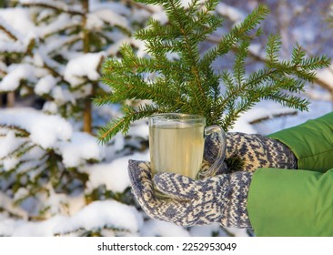 Person with traditional Scandinavian vintage style mittens holding Spruce tree needle tea in transparent tea glass. Snowy spruce tree on background, outdoors on cold winter day.