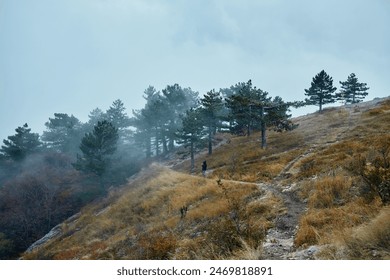 A person trekking through misty mountain trail surrounded by lush trees in tranquil natural setting - Powered by Shutterstock