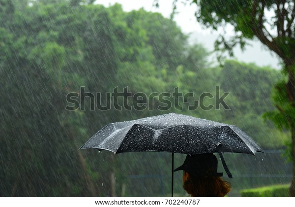 heavy rain umbrella