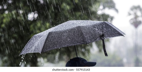 person-umbrella-rain-260nw-557915143.jpg