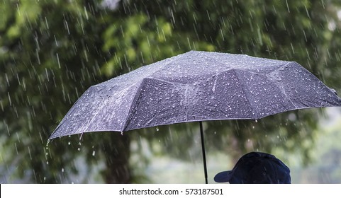 A Person With An Umbrella In The Rain.