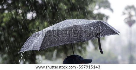 A person with an umbrella in the rain.