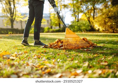 A person uses a yellow rake to gather fallen leaves in a park, surrounded by vibrant autumn foliage. Working with a fan rake in an orchard. Lawn and orchard care in autumn on a sunny day.