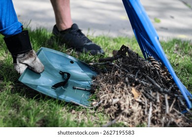 a person using a leaf scoop and rake to collect leaves and debris from the yard for spring cleanup. landscaping and gardening design element.