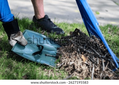 a person using a leaf scoop and rake to collect leaves and debris from the yard for spring cleanup. landscaping and gardening design element.
