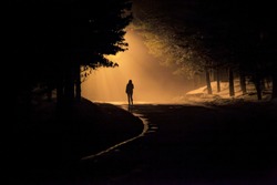 A Person Walk Into The Misty Foggy Road In A Dramatic Mystic Scene With Warm Colors. Mysterious Man Walking In The Mist