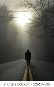 A person walk into the misty foggy forest road in a dramatic  sunrise scene