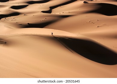 Person walking alone in the desert