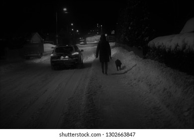 A Person Walking A Dog Late At Night