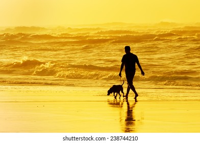 Person Walking The Dog On The Beach At Sunset