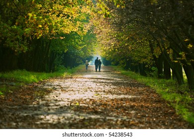 Person Walking In The Forest Park